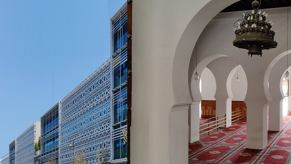 Kultur wird nicht vererbt, Foto: Chris Lawton auf unsplash